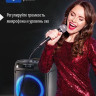 Патибокс AIWA CAS-513