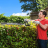 Кусторез Ryobi RHT6760RL