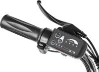 Электровелосипед MyWay Trike 500 20 (17, графитовый матовый)