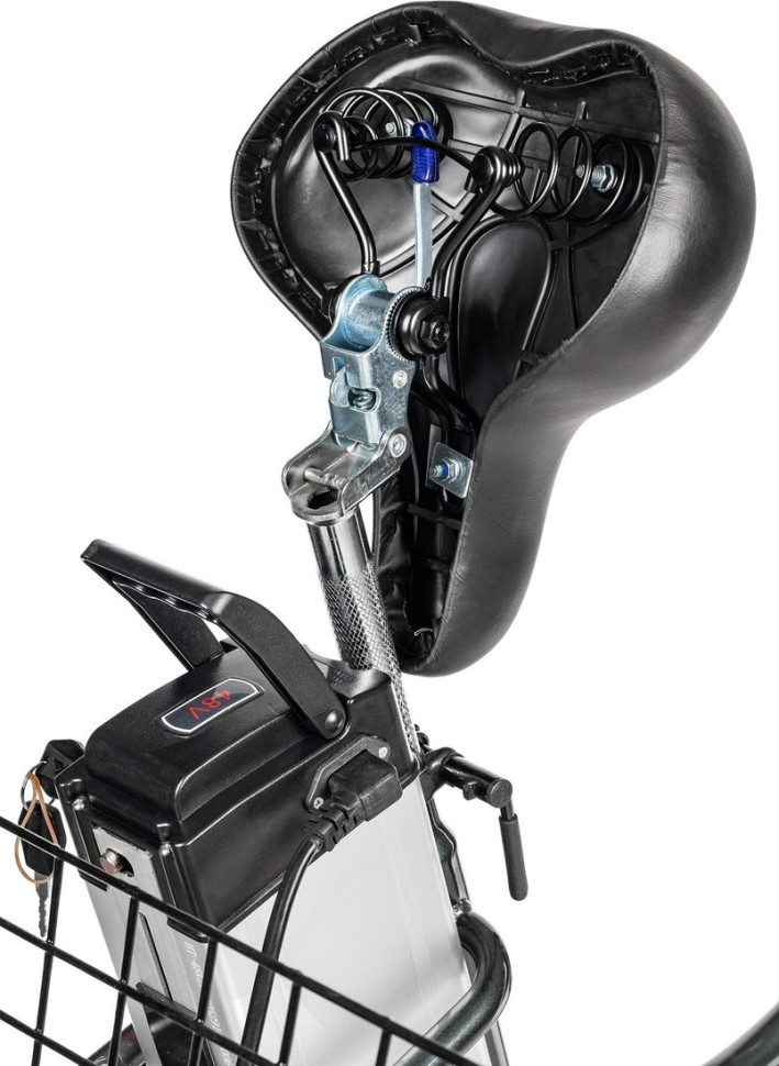 Электровелосипед MyWay Trike 500 20 (17, графитовый матовый)