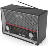 Радиоприемник Ritmix RPR-102 (карбон)