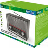 Радиоприемник Ritmix RPR-102 (карбон)