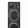 Акустическая система Ginzzu GM-326