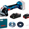 Угловая шлифмашина Bosch GWS 180-LI Professional 06019H9025 (с 1-им АКБ, кейс)