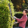 Кусторез Ryobi RHT8165RL