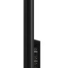 Телевизор TCL 65C647