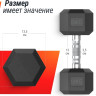 Гантель UnixFit DBHEX10 10 кг