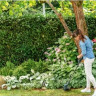 Триммер Bosch Easy GrassCut 23 06008C1H01