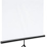 Проекционный экран Classic Solution Libra 200x200