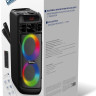 Патибокс SmartBuy Mega Boom 2 SBS-5600