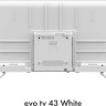 Телевизор Evo TV 43 White TD0051750RU