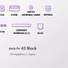 Телевизор Evo TV 43 Black TD0051752RU