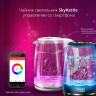 Электрический чайник Redmond SkyKettle RK-G202S
