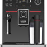 Кофемашина Gaggia Accademia One Touch RI9781/01