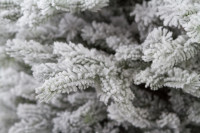 Ель GreenTerra Аляска заснеженная 2.5 м