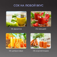 Соковыжималка Zigmund &amp; Shtain ESJ-771