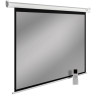 Проекционный экран Cactus SIlverMotoExpert 138x220 CS-PSSME-220X138-WT