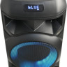 Портативная акустика AIWA CAS-656