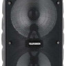 Музыкальный центр Telefunken TF-PS2204S