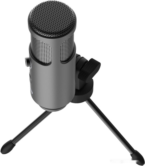 Микрофон Lorgar Voicer 521