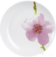 Столовый сервиз Luminarc Diwali water color P7080