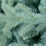 Ель Green Trees Россо премиум 1.8 м