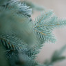 Ель Green Trees Россо премиум 1.8 м