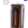 Портативная акустика AIWA CAS-815