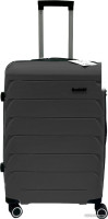 Чемодан-спиннер DoubleW YF-PP02 (M, черный)