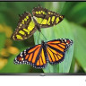 Телевизор TCL 32S615