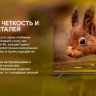 Телевизор Blaupunkt 50UGC6000T