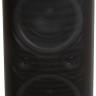 Портативная акустика AIWA CAS-618