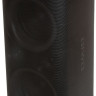 Портативная акустика AIWA CAS-618