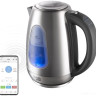 Электрический чайник Redmond SkyKettle RK-M215S