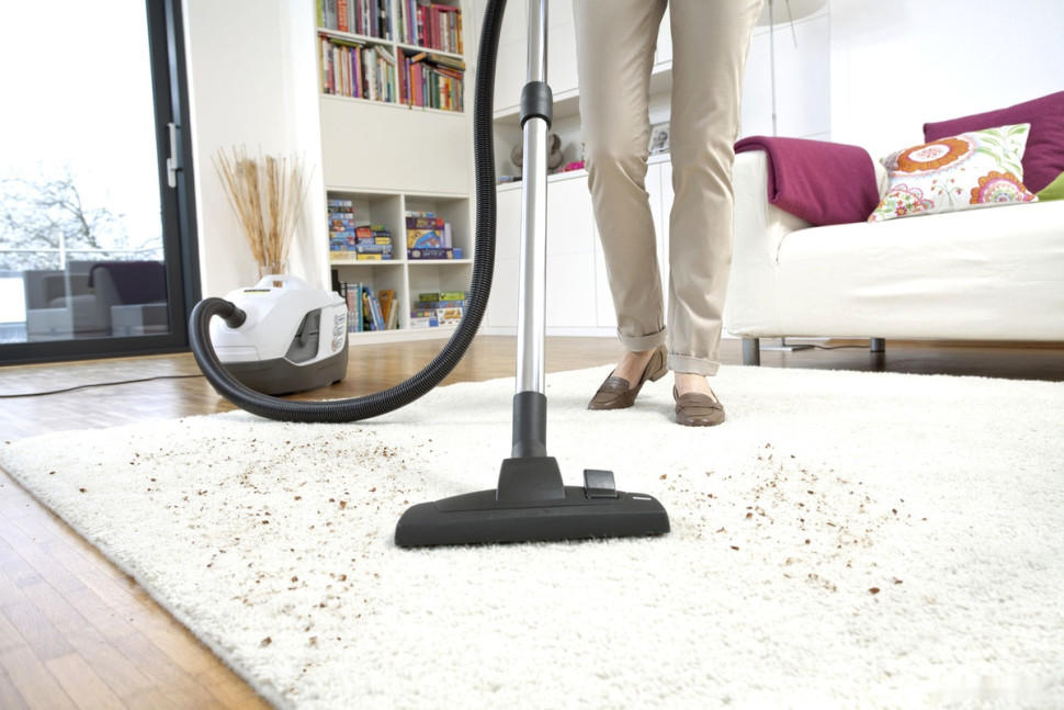 Пылесос Karcher DS 6 Premium Plus 1.195-242.0