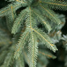 Ель Green Trees Фьерро премиум 2.4 м