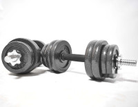 Набор гантелей Atlas Sport металлические 33 кг