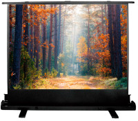Проекционный экран Cactus CS-PSFLE-180X135