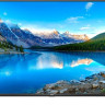 Телевизор TCL 43P615