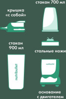 Блендер NutriBullet Pro NB908MAJD