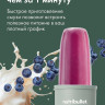 Блендер NutriBullet Pro NB908MAJD