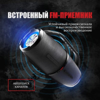 Портативная акустика УРАЛ Гагарин ГР-007 (черный)