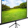 Проекционный экран Cactus TriExpert 220x165 CS-PSTE-220х165-BK