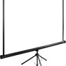 Проекционный экран Cactus TriExpert 220x165 CS-PSTE-220х165-BK