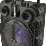 Музыкальный центр Telefunken TF-PS2306