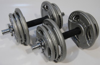 Набор гантелей Atlas Sport Хаммертон 2x9.5 кг