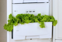 Холодильник с нижней морозильной камерой Pozis RK-102 S