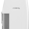 Мобильный кондиционер Royal Clima Largo Pro RM-LP50CN-E