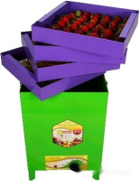 Сушилка для овощей и фруктов УЗБИ Сухофрукт В02