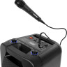 Музыкальный центр Toshiba TY-ASC66